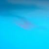 Jason Goncalves422 - @jasongoncalvess - TikTok