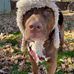 Jason Goodell - Facebook