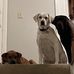 Jason Goodin - Facebook