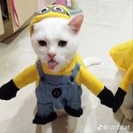 Jason Gorbunov - @one_kremey_boi - Instagram