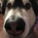 Jason Gower - @jasongower71 - Instagram
