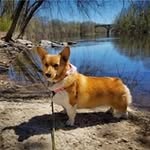 Jason Grasser - @jasongrasser - Instagram