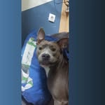 Jason Grassiot - @jasongrassiot - Instagram