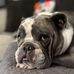 Jason Grebe - Facebook