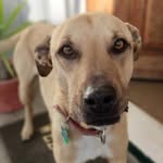 Jason Dale Greenfield - @j.d.greenfield.1 - Instagram
