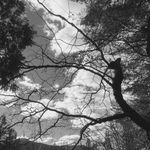 Jason - @_jason.grey - Instagram