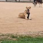 Jason Grobe - @grobe.jason - Instagram