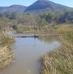 Jason Grobler - Facebook