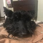 Jason Grow - @jason_grow916 - Instagram