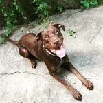 Jason Gruber - @jasonmgruber - Instagram