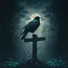 jasongruber55 - @jasongruber55 - TikTok