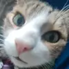 Jason Grunert - @jason.grunert - TikTok