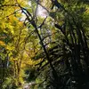 jasonguy_ - @jasonguy_ - TikTok