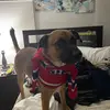jasongoyette442 - @jasongoyette442 - TikTok