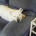Jason Haddock - Facebook