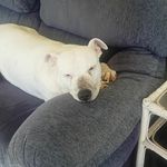 Jason Haddock - @just0jason - Instagram