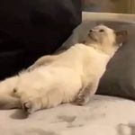 @jasonhaddock2022 - Instagram
