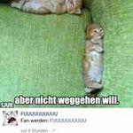 Jason Hafner - @hafner.jason - Instagram