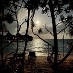 jason hagerman - @journeykitchenrva - Instagram