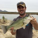 Jason Halbert - @jason_halbert - Instagram