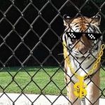 Jason Hancock - @jason.hancock.14268 - Instagram