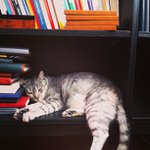 Jason Hanner - @prepyoupong - Instagram