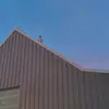 Jason Hao - @jjason.h - TikTok