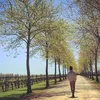 Jason Hao - @thestarista - TikTok