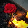 Jason Hare - @jason.hare3 - TikTok