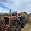jasonhare3492 - @jasonhare3492 - TikTok