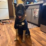Jason Harness - @jason.harness.102 - Instagram