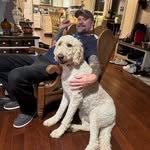 Jason Harness - @jharness1977 - Instagram
