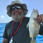 Jason Harrill - @jharrill1975 - Instagram