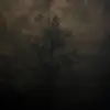 Jason Hawk - @jasonhawk3920 - TikTok