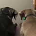 Jason Hawk - Facebook