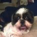 Jason Hawk - Facebook