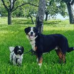 Jason Heim - @heim_jason - Instagram