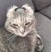 Jason Helsel - Facebook