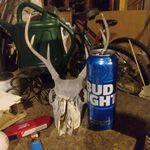 Jason Helsel - @helseljason - Instagram