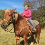 Jason Hendricks - @jasonhendricks3 - Instagram