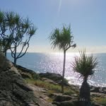 Jason Herd - @recreational_life_austrailia - Instagram