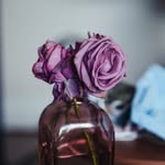 Jason Herda - @jasonherda.photography - Instagram