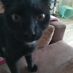 jasonhesse09 - @jasonhesse093341 - Instagram