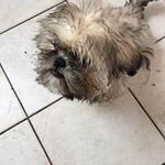 Jason Hine - @hinejase - Instagram