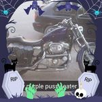 Jason Hocking - @jasonhocking.122 - Instagram