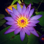 Jason Hocking - @jhocking_shots - Instagram