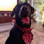 Laura Jason Holladay - @lauraholladay23 - Instagram