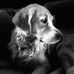 Jason Houle - Facebook
