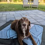 Jason Houle - @houle.jason - Instagram