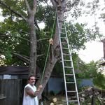 Jason Howarth - @lawnguy01 - Instagram